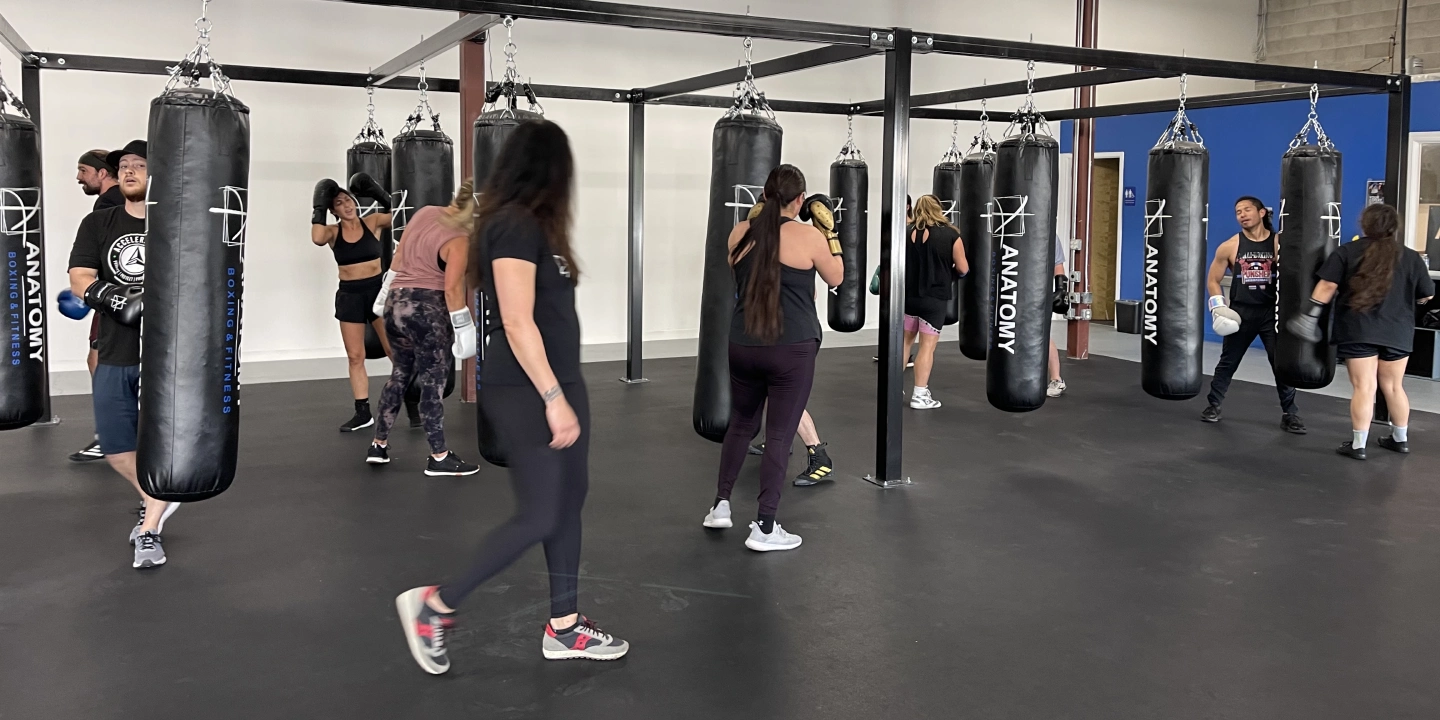 Boxing & Fitness Classes Anatomy Boxing & Fitness